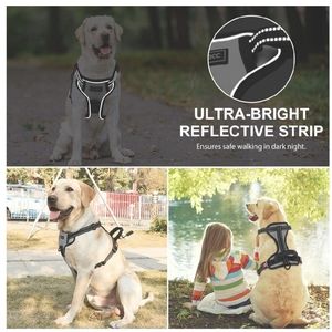 💥2/$10 - Dog Harness